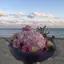 mのプロフィール画像