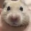いづみんのプロフィール画像