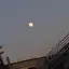 四月一日のプロフィール画像