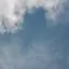 しょのプロフィール画像