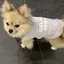 ゆのプロフィール画像