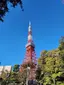 あいのプロフィール画像