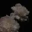 naのプロフィール画像