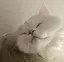 未来のプロフィール画像