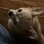 あきのプロフィール画像