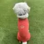 もえのプロフィール画像