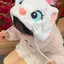 ちさのプロフィール画像