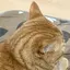 たかなのプロフィール画像