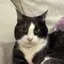 ももこのプロフィール画像