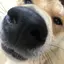 reのプロフィール画像