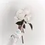 璃音のプロフィール画像