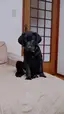 うるまむのプロフィール画像