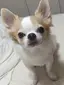 ころちっちのプロフィール画像
