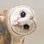 sakuraのプロフィール画像