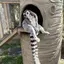 やゆよっとのプロフィール画像