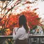 ななのプロフィール画像