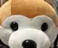 しまっさんのプロフィール画像