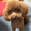 ムギのプロフィール画像