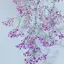 kmのプロフィール画像