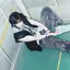 Suzuのプロフィール画像