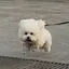 ひろきのプロフィール画像