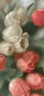 凛花のプロフィール画像