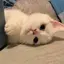 ゆきのプロフィール画像