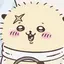 かびごんのプロフィール画像