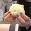 Liaのプロフィール画像