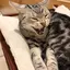 なおのプロフィール画像