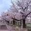 リリのプロフィール画像