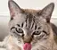 ミサキのプロフィール画像