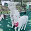とろろのプロフィール画像