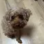 みっちゃんのプロフィール画像