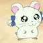 mikaのプロフィール画像