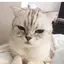 みんみんのプロフィール画像
