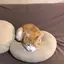 あゆのプロフィール画像