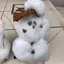 たんたんめんのプロフィール画像