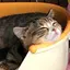 aのプロフィール画像