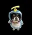 えもんのプロフィール画像