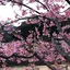 もこのプロフィール画像