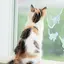沙弥華のプロフィール画像