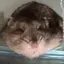 なのプロフィール画像