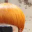 ニシダミズキのプロフィール画像