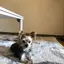 あきぃこぉのプロフィール画像