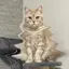 はるかのプロフィール画像