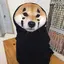 Lisaのプロフィール画像