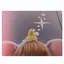 こぴのプロフィール画像