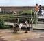 Rのプロフィール画像