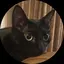 みっちーのプロフィール画像